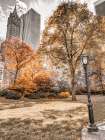 Central park in autumn-Manhattan-New York Art Print