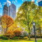 Central park in autumn, Manhattan, New York Art Print