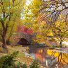 Gapstow bridge in autumn-Central Park-New York city Art Print