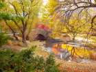 Gapstow bridge in autumn-Central Park-New York city Art Print