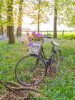 Bicycle in spring forest with bunch of flowers Art Print