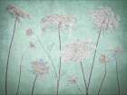 Cow parsley flowers Art Print