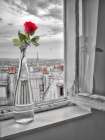 Flower vase on window with Eiffle tower in background-Paris Art Print