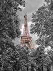Eiffel Tower through trees Art Print