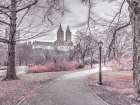 Pathway through Central park-New York Art Print