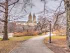 Pathway through Central park, New York Art Print