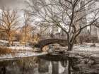 Central park in New York Art Print