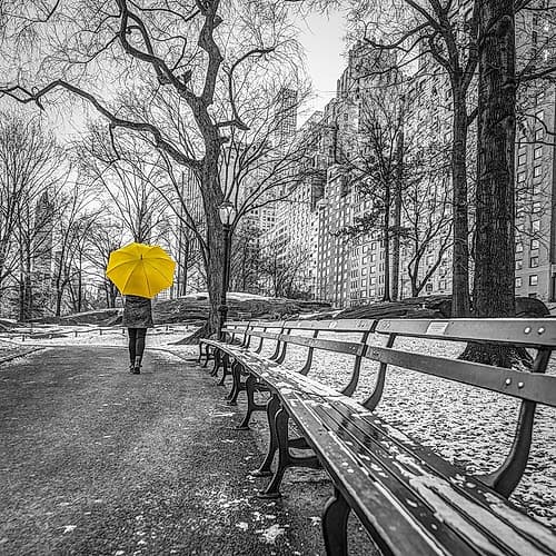 Tourist on pathway with Yellow umbrella at Central park-New York Photography Print
