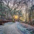 Canal in countryside with trees and pathway Art Print
