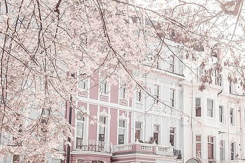 Building on Portobello road Photography Print