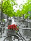 Bicycle with bunch of flowers by the canal-Amsterdam Art Print