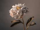 Peony flower Art Print