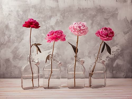 Peonies in glass bottles Art Print