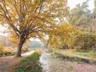 Basingstoke Canal Art Print