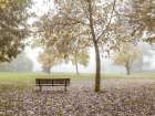 Wooden bench in Autumn forest Art Print