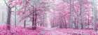 Pathway through Autumn forest Art Print