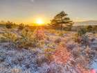 Winter sunset in countryside Art Print