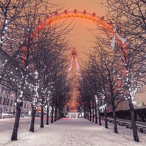 London Eye at night with trees in the foreground lit with lights and snow on the pathway-London-UK Photography Print