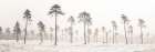 Snowy forest in winter Art Print