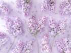 Lilac flowers Art Print