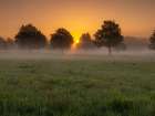 Misty sunrise in countryside-Berkshire-UK Art Print