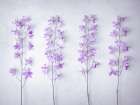 Delphiniums flowers Art Print
