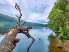 Scottish Loch Art Print