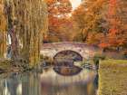 Bridge over a canal Art Print