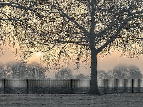Misty morning Landscape Print