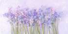 Bluebell flowers Art Print