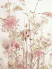 Meadow Flowers Art Print