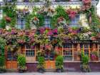The Churchill Arms pub-London Art Print
