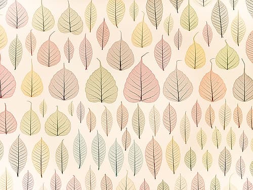 Skeleton leaves Art Print