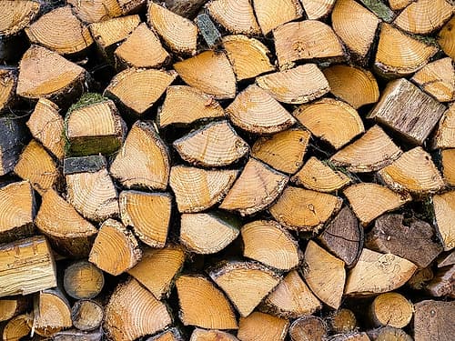Wood logs Nature Print