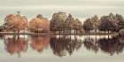 Reflection of autumn trees in a still lake. Art Print