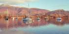 Sail boats in Lake Art Print