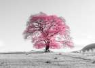 Tree on a hill Art Print