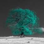 Tree on a hill-teal Art Print