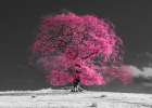 Tree on a hill-pink Art Print