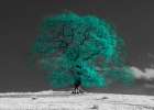 Tree on a hill-teal Art Print