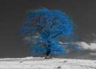 Tree on a hill-blue Art Print