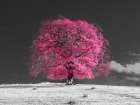 Tree on a hill, pink Art Print