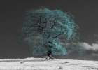 Tree on a hill-teal Art Print