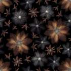 Clematis flowers Art Print