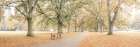 Pathway through autumn park Art Print