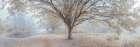Canal through forest Art Print