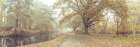 Misty Canal, Autumn Art Print