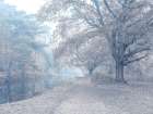 Misty Canal-Autumn Art Print
