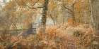 Canal through forest Art Print
