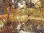 Canal through forest Art Print